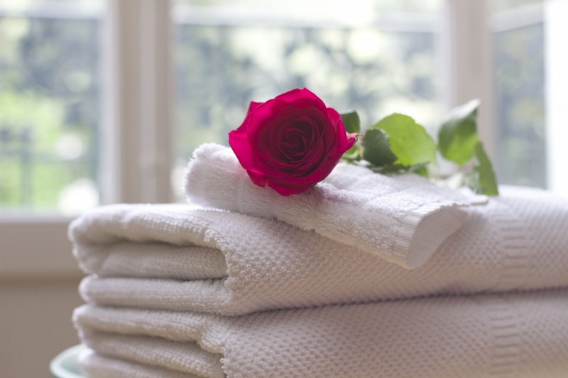 chambre-hote-NANS LES PINS-min_towel_rose_clean_care_salon_spa_white_bath-731641